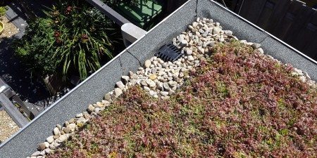 Green roofs reduce pressure on rain water drainage