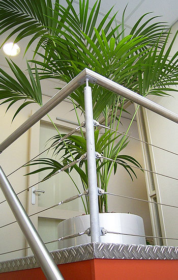 Grote selectie hydroplanten en plantenbakken bij Kuijpers Hoveniers in Den Haag