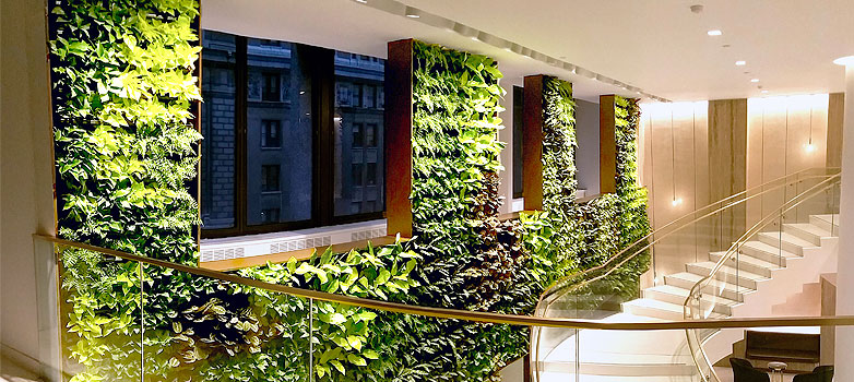 Voorbeeld van interieurbeplanting in de hal van een kantoor in Den Haag