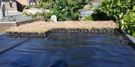 Green roofs are natural insulation